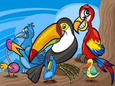 Coloriage Oiseaux Exotiques